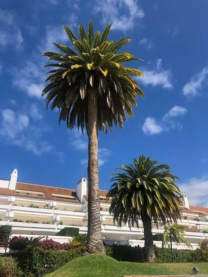 Apartement Tajinaste Puerto de la Cruz  Apartment